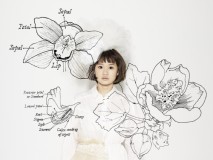 56122_fumikaroadpromo