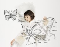 56123_fumikaroadpromo2