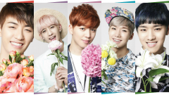 100-percent-member-all-800x450