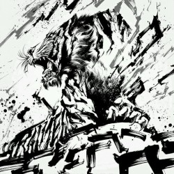 65605_raimeicddvdvdcovertmrevolution