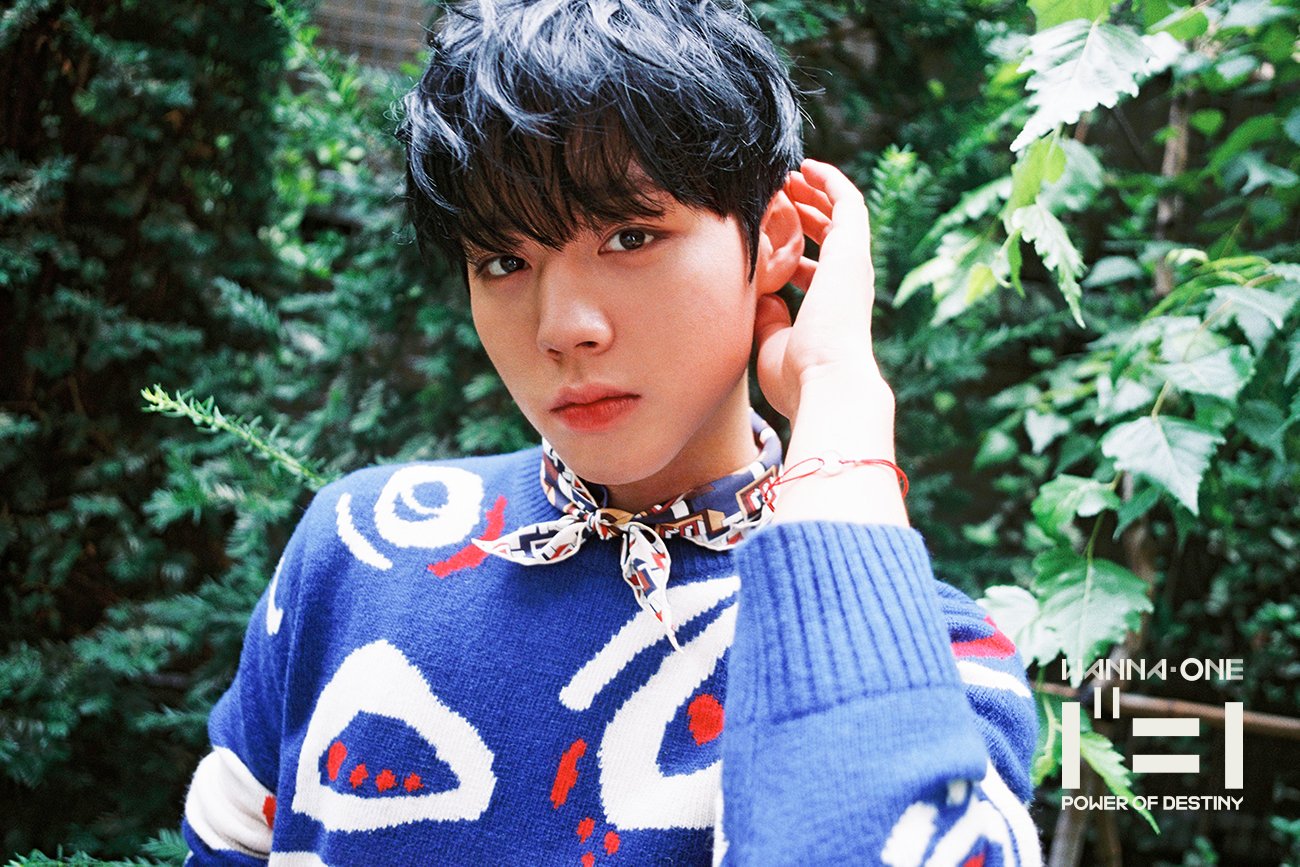 Ckjpopnews_WannaOne_PowerOfDestiny_romanticVers_Park-Ji-Hoon