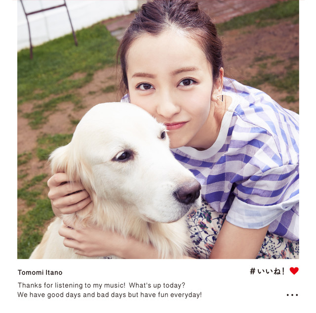 KING e-SHOP Edition II KING e-SHOP Edition II