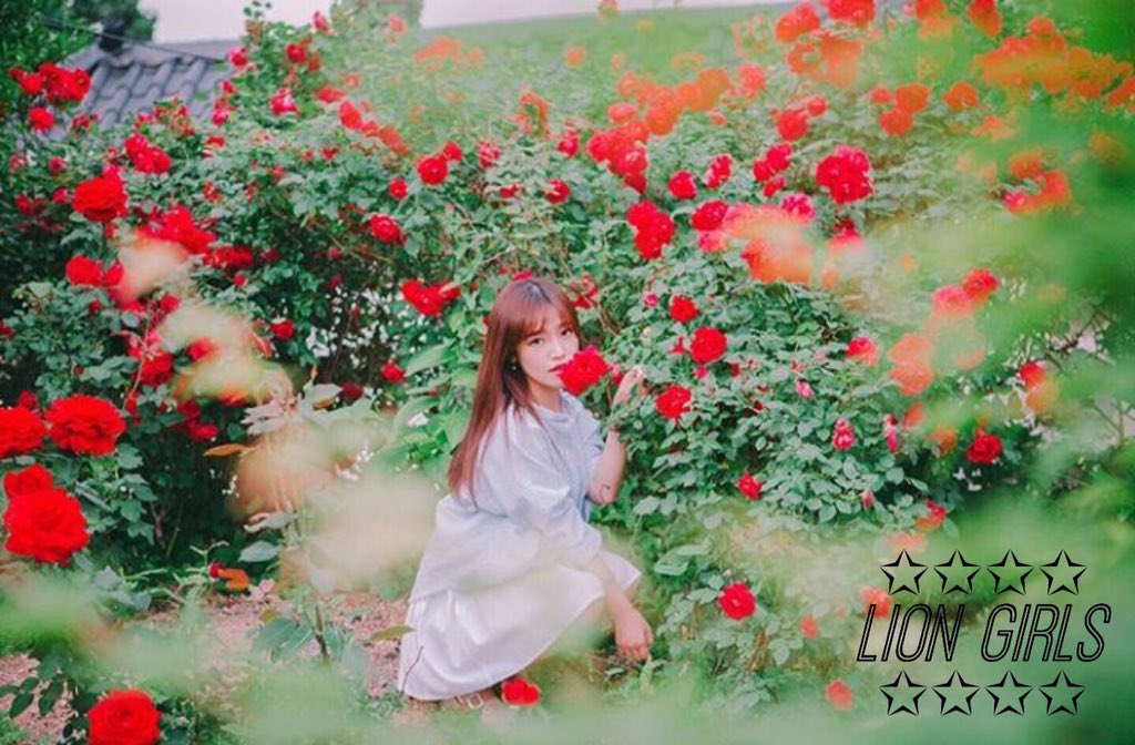 Kim-Stella-Lion-Girls