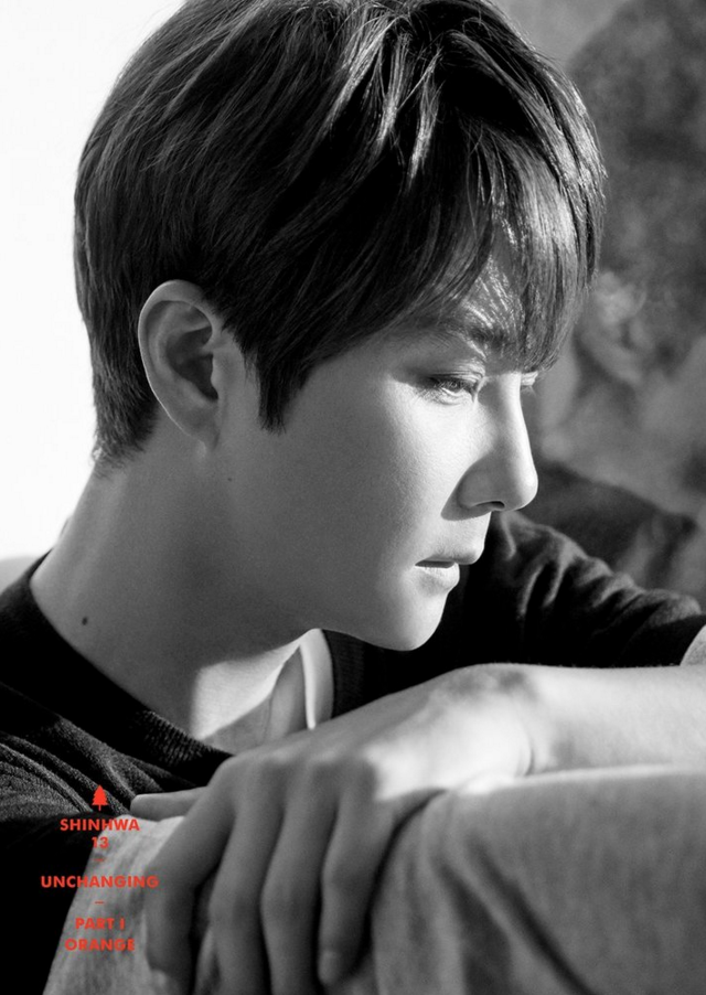 shinhwa-13-unchanging-part-1-orange-hyesung shinhwa-13-unchanging-part-1-orange-hyesung