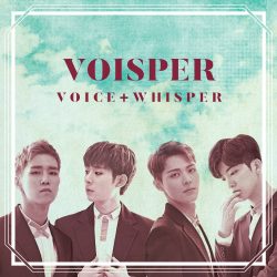 voisper-voice-whisper