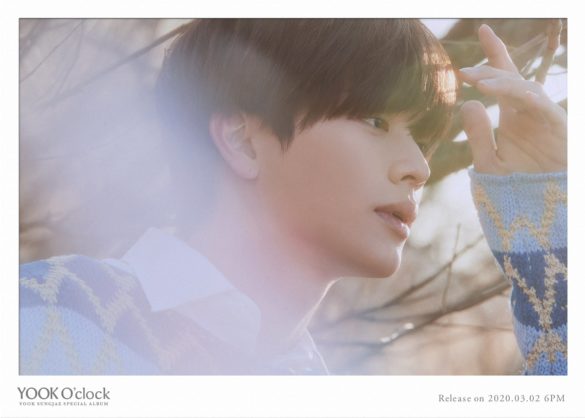 ckjpopnews-btob-sungjae-solo-album-yook-oclock-teaser2