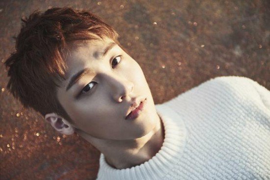 nflying lonely single coréen teaser individuel