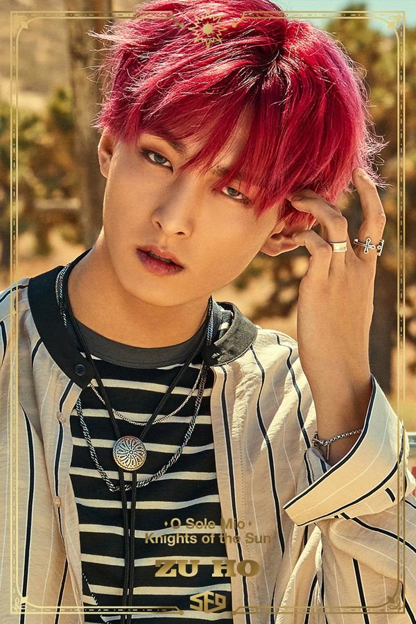 sf9_1506600924_20170928_sf9_zuho