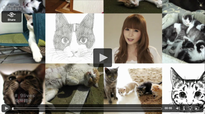 cliquez sur l'image pour voir la vidéo