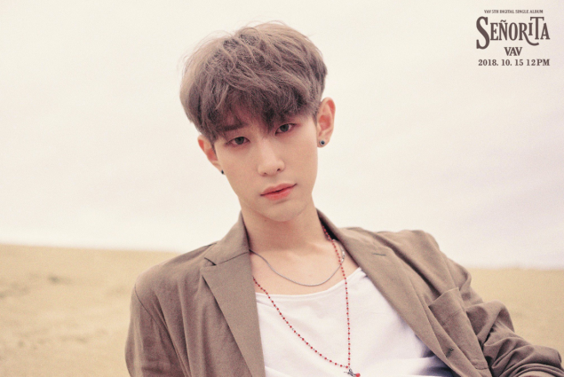 vav_1538407250_Screen_Shot_2018-10-01_at_11.20.08_AM