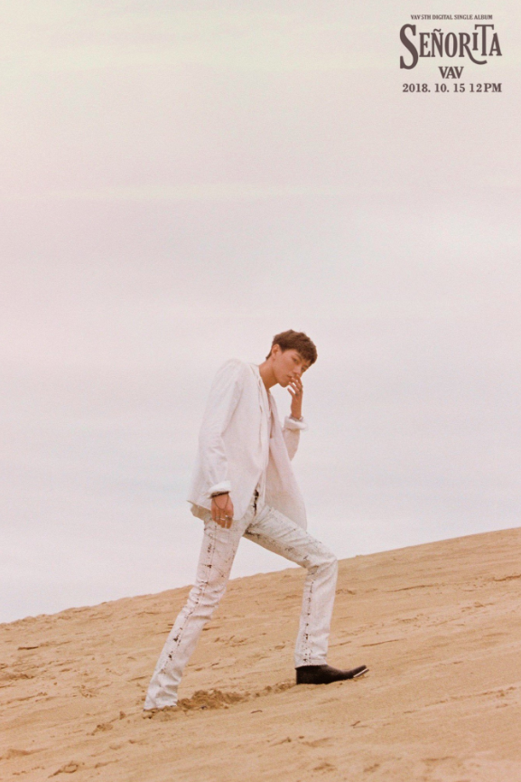 vav_1538408106_Screen_Shot_2018-10-01_at_11.34.51_AM