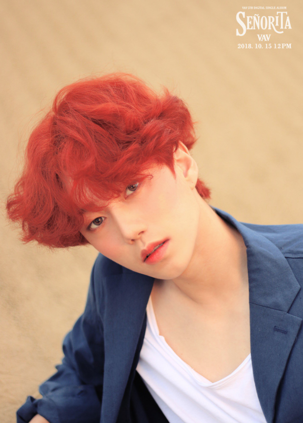 vav_1538409916_Screen_Shot_2018-10-01_at_12.04.48_PM