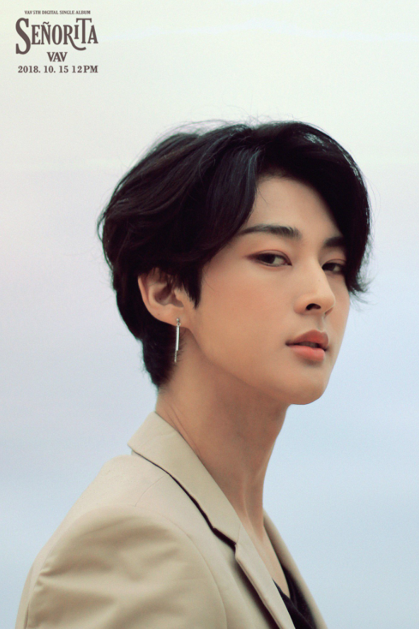 vav_1538411239_Screen_Shot_2018-10-01_at_12.27.00_PM