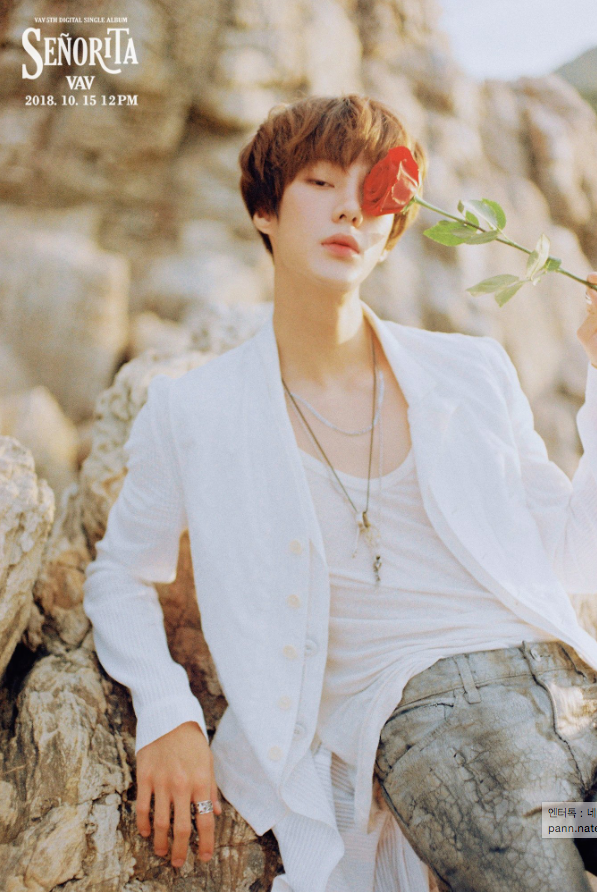 vav_1538581585_Screen_Shot_2018-10-03_at_11.46.12_AM