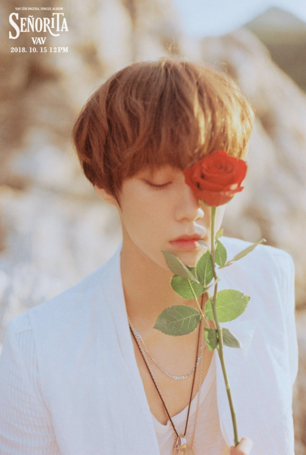 vav_1538581586_Screen_Shot_2018-10-03_at_11.46.04_AM