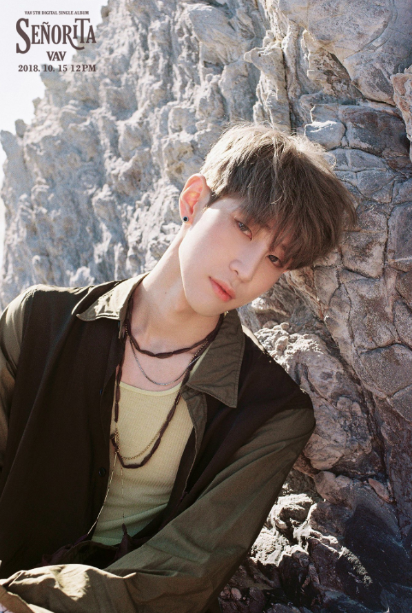 vav_1538581615_Screen_Shot_2018-10-03_at_11.46.31_AM