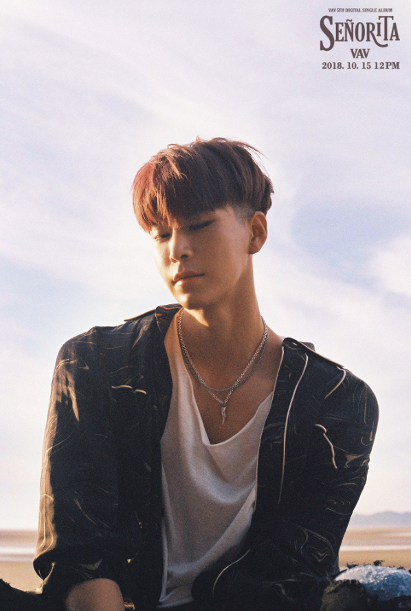 vav_1538581709_Screen_Shot_2018-10-03_at_11.48.16_AM