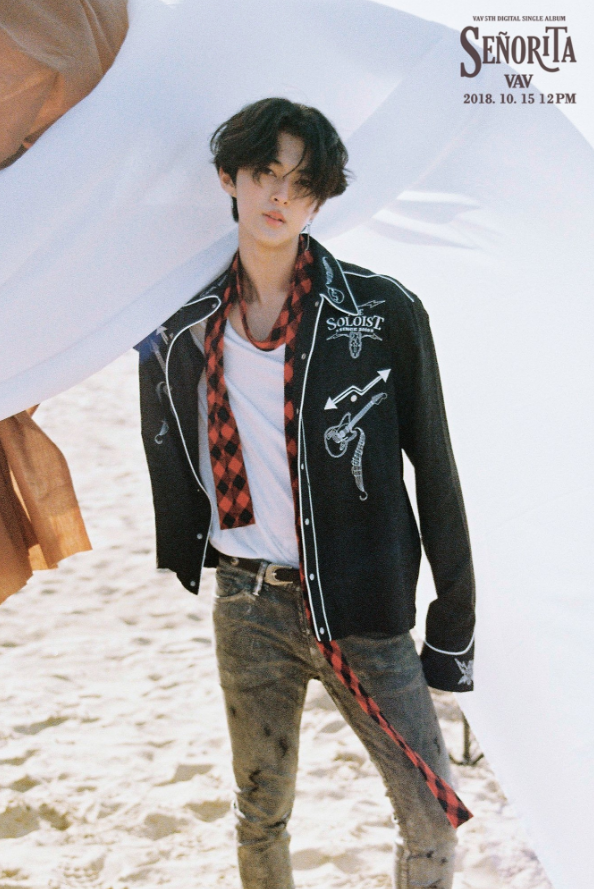 vav_1538581897_Screen_Shot_2018-10-03_at_11.51.14_AM