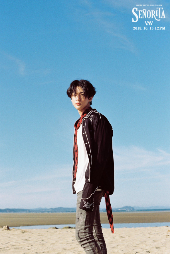 vav_1538581897_Screen_Shot_2018-10-03_at_11.51.22_AM